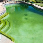 کاربرد بایوساید در رنگ استخری ضد جلبگ