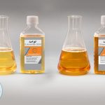 تفاوت لورامید و سویامید